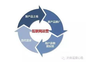 步步为营 从零构建互联网销售的用户增长体系